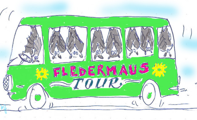 Fledermaus Tour
