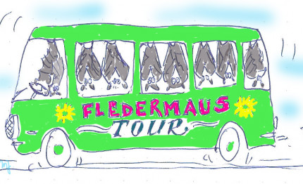 Fledermaus Tour
